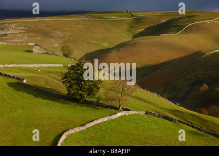stone walls and barns nr Kettlewell, Wharfedale, Yorkshire Dales National Park, England, UK