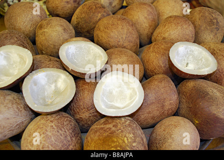 Dry coconut. Cocos nucifera, used in cooking and for oil. Stock Photo