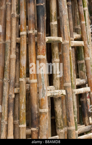 Handmade Bamboo ladders stockpiled and ready for sale in Vietnam. Strong reliable bamboo used for so many purposes especially in the building trade Stock Photo