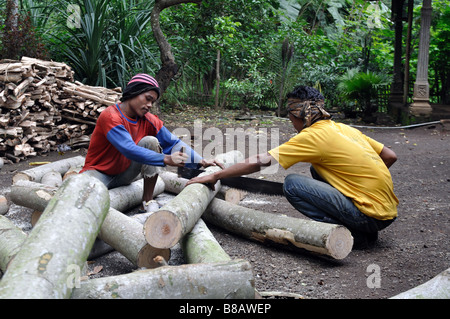 Tree wood cutters Stock Photo