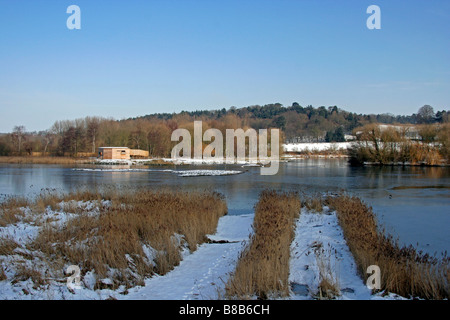 Amwell quarry Nature Reserve Stock Photo