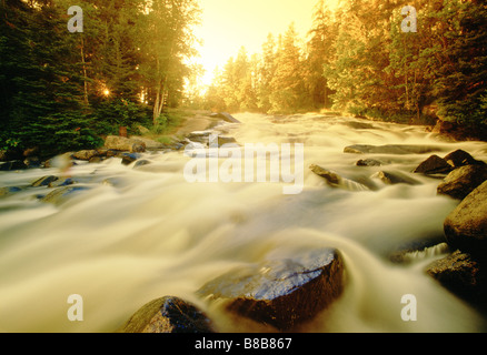 Flowing water Rushing River Provincial Park near KenoraOntario Stock Photo