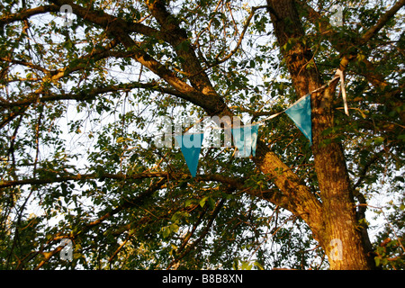 many colourful carnival flags decorations in street party outdoors in park with tree in sun Stock Photo