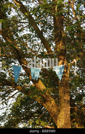 many colourful carnival flags decorations in street party outdoors in park with tree in sun Stock Photo