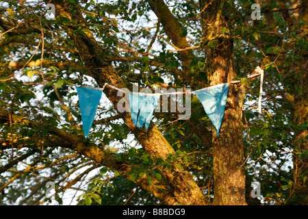 many colourful carnival flags decorations in street party outdoors in park with tree in sun Stock Photo