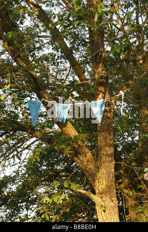 many colourful carnival flags decorations in street party outdoors in park with tree in sun Stock Photo