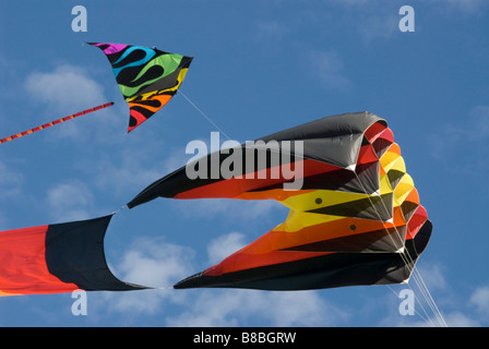 Stock photo of kites against a cloudy blue sky Stock Photo