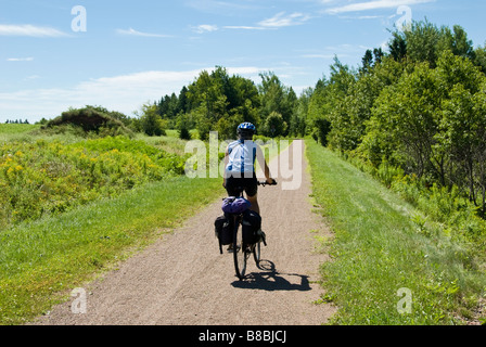 Woman bikes the trail west of Charlottetown, Confederation Trail, Prince Edward Island, Canada. Stock Photo