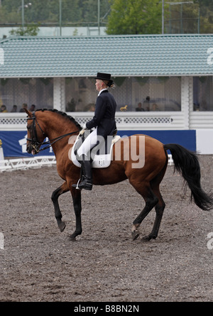 Woman in dressage costume with Warmblood horse Stock Photo