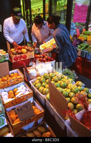 Little India, Toronto,Ontario Stock Photo - Alamy