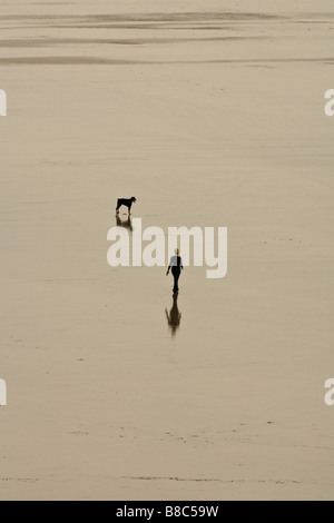 aerial view of a walker and dog on Saunton sands beach devon Stock Photo
