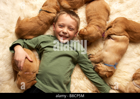 Boy Floor Golden Retriever Puppies Stock Photo