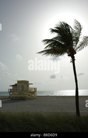 Summer morning at Haulover Beach in Miami Florida Stock Photo