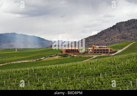 Burrowing Owl Estate Winery, Oliver, BC Stock Photo