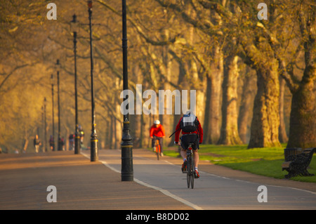 cyclists in Hyde Park, early morning, London, England, UK. (NR) Stock Photo