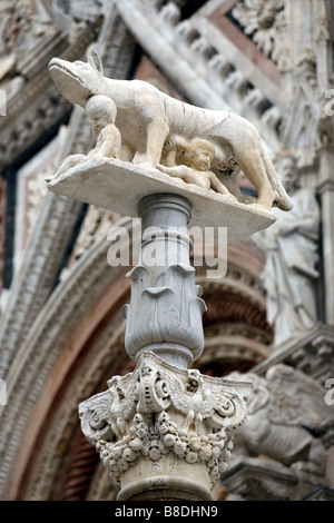 Statue of Romulus & Remus, Duomo di Siena, Siena, Tuscany, Italy Stock Photo