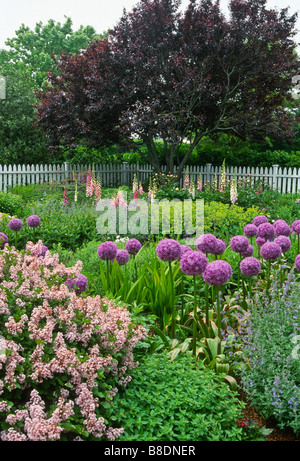 A flower garden designed with a pink, blue, purple color scheme brims with flowers of contrasting shapes and textures in June. Stock Photo