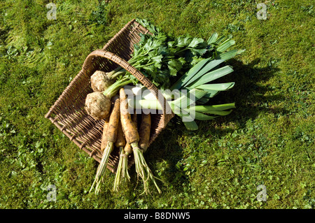 Vegetables in basket Stock Photo