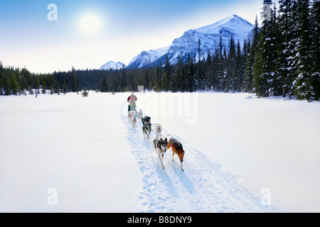 Person having a sleigh ride through the snow Stock Photo