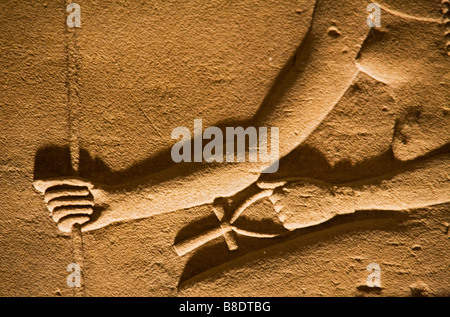 Engraved hieroglyphic character on wall Stock Photo