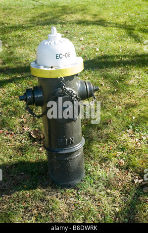 Black and white fire brigade water pipe with yellow trim on a green lawn in the USA, featuring EC-06 marking. Stock Photo