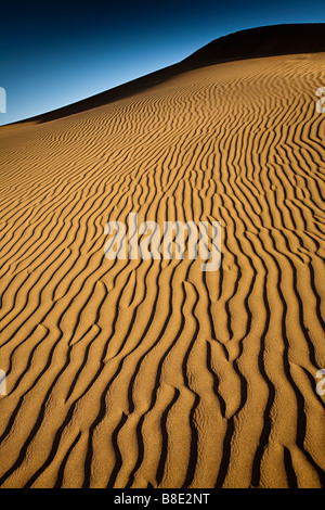 Wind ripples in sand dune Maspalomas Gran Canaria Spain Stock Photo