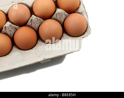 Open Carton of fresh Brown Organic Eggs Stock Photo