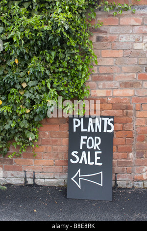 Sign saying plants for sale leaning against a brick wall with ivy growing on it Stock Photo