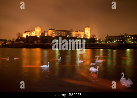 Swans on River Wista at night with Wawel castle and hill in background Krakow Poland Stock Photo