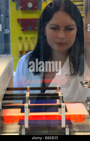 Production of solar cells, Thalheim, Germany Stock Photo