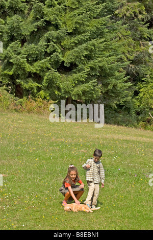 boy  girl playing with catt Stock Photo