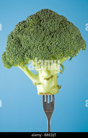 Broccoli on a fork Stock Photo