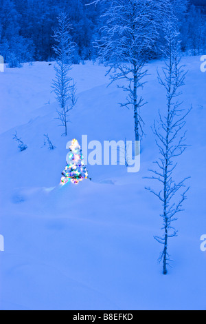 Lit Christmas tree at twilight surrounded by snowcovered old mine tailings & young birch forest near Fairbanks, Alaska Stock Photo