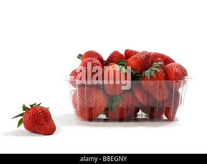 Clear Plastic Basket of Organic Strawberries one in foreground Stock Photo