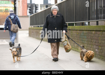 old woman walking two dogs Stock Photo