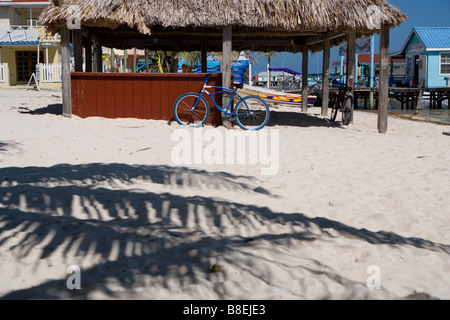 Thatched palapa on the beach with a blue bike leaning against the post and palm shadows in the foreground in Belize. Stock Photo