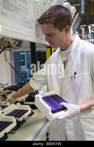Production of solar cells, Thalheim, Germany Stock Photo