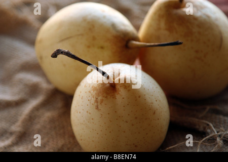 Three Chinese pears fruit on a jute Stock Photo