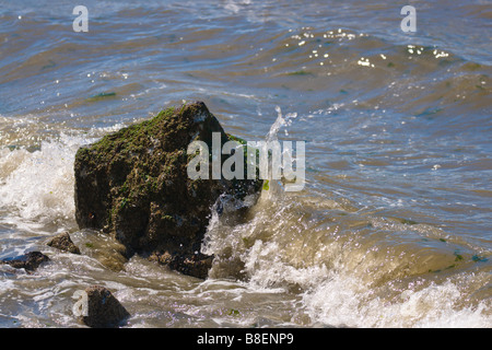 a very small wave breaks against a rock on Puget Sound in the south of Seattle Stock Photo