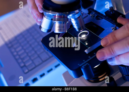 A medical or scientific researcher using a microscope and laptop Stock Photo