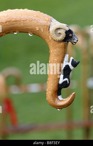 Shepherds Crook in Rain Stock Photo