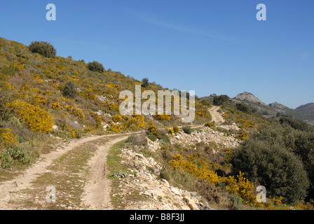 mountain track, near Benimaurell, Vall de Laguar, Alicante province, Comunidad Valenciana, Spain Stock Photo