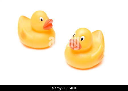 Rubber Ducks isolated on a white studio background Stock Photo - Alamy