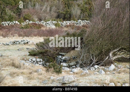 Old stone ruin after small farmers house, Onsala peninsula, Sweden Stock Photo