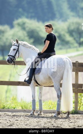 Andalusian Horse (Equus ferus caballus). Young woman riding white horse Stock Photo