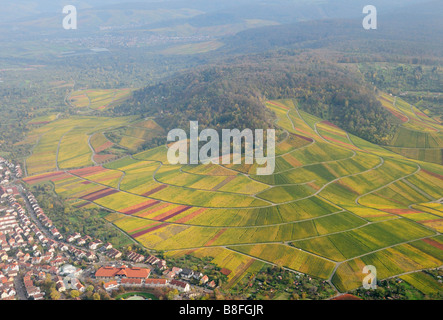 Aerial photo of vineyards near Stuttgart, Baden-Wuerttemberg, Germany Stock Photo