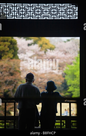 cherry blossom viewing hanami Shinjuku Gyoen park Tokyo City Honshu ...