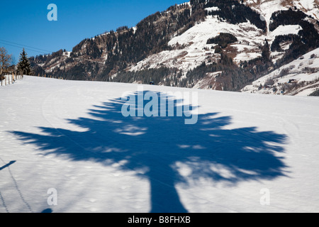 Austria Europe. Fir tree shadow on snow in winter Stock Photo