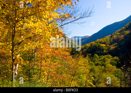 Scenic views of fall foliage color at Crawford Notch New Hampshire USA Stock Photo