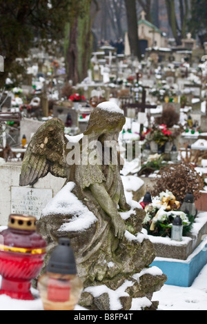Gravestones in Rakowicki Cemetery. Krakow, Poland Stock Photo